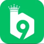 B9 Game APK